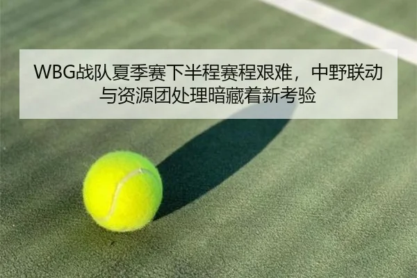 WBG战队夏季赛下半程赛程艰难，中野联动与资源团处理暗藏着新考验